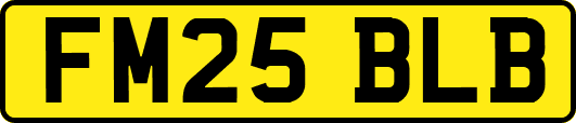 FM25BLB