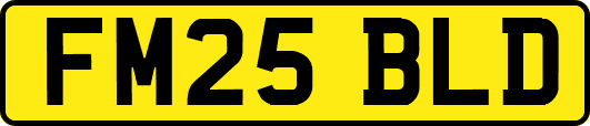 FM25BLD