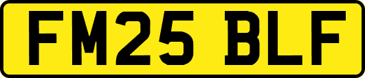 FM25BLF