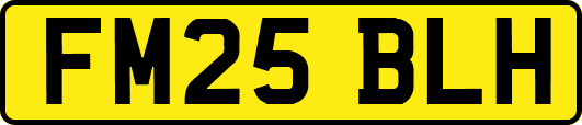 FM25BLH