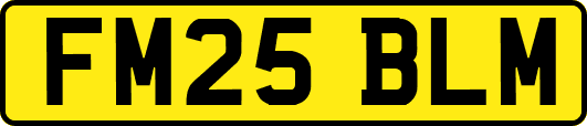 FM25BLM
