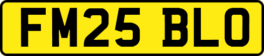FM25BLO
