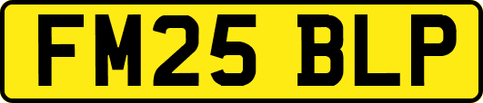 FM25BLP
