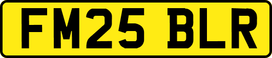 FM25BLR