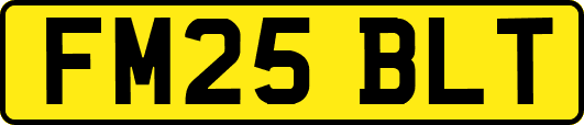 FM25BLT