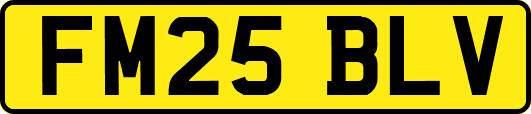 FM25BLV