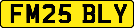 FM25BLY