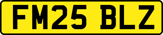 FM25BLZ