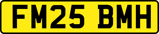 FM25BMH