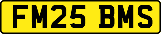FM25BMS