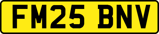 FM25BNV