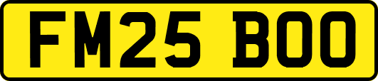 FM25BOO