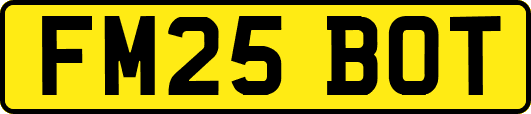 FM25BOT