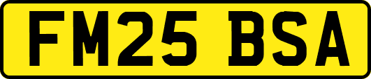 FM25BSA