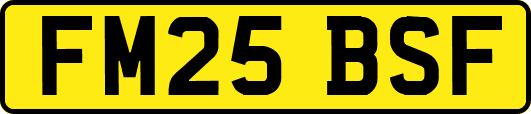 FM25BSF