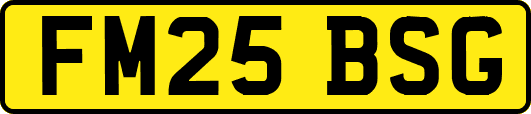 FM25BSG