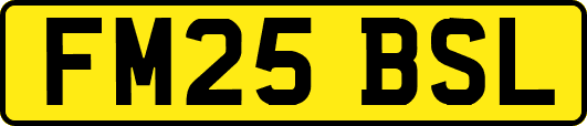 FM25BSL
