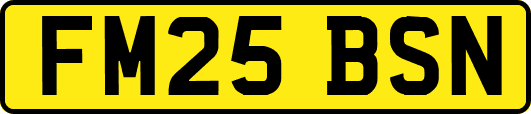 FM25BSN