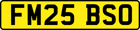 FM25BSO