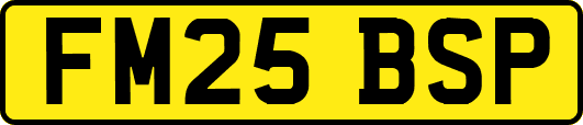 FM25BSP