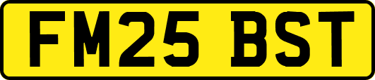FM25BST