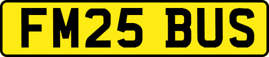 FM25BUS