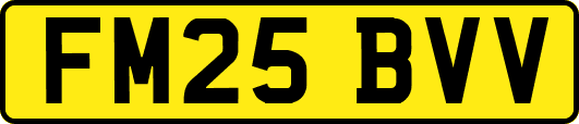 FM25BVV