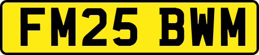 FM25BWM