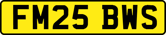 FM25BWS