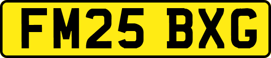 FM25BXG