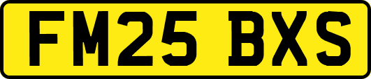 FM25BXS