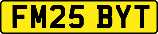 FM25BYT