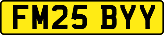 FM25BYY
