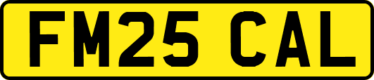 FM25CAL