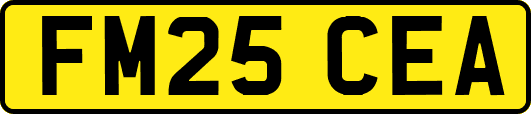 FM25CEA