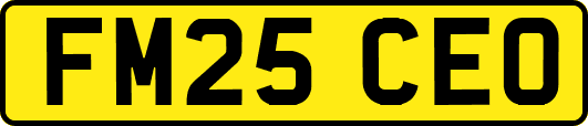 FM25CEO