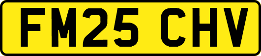 FM25CHV