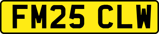 FM25CLW