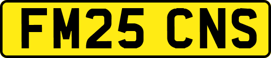 FM25CNS