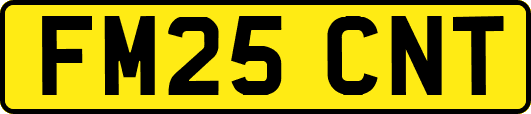 FM25CNT