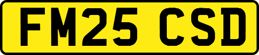 FM25CSD