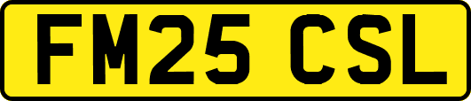 FM25CSL