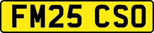 FM25CSO