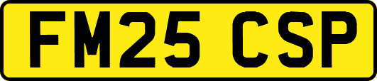 FM25CSP