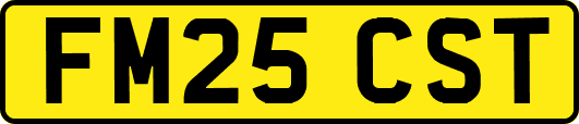 FM25CST