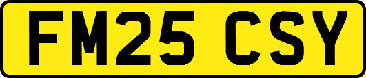 FM25CSY