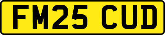 FM25CUD