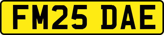 FM25DAE