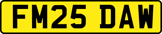 FM25DAW