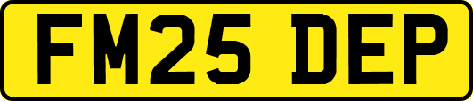 FM25DEP
